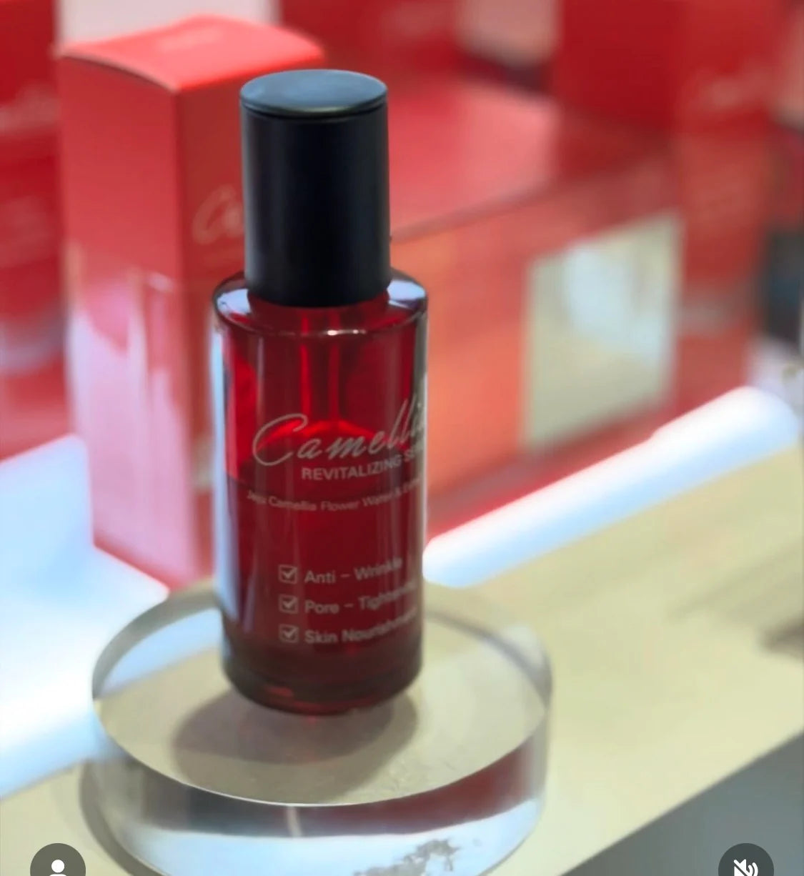 Jejuindi Camellia Revitalizing Serum 30ml (P3206)
